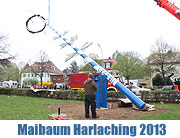 Maibaum Special 2013 - die Termine in und rund um München 2013. Ein Maibaum in Harlaching wurde schon am 30.04. aufgestellt (©Foto: Martin Schmitz)